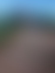 The Summer My Life Changed Forever