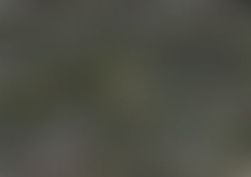 HABLANDO DE COLOMBIA, NOS ENCONTRAMOS CON: