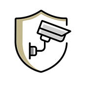 Security Systems Icon