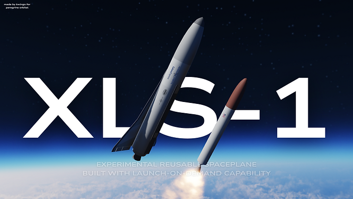 XLS-1.png