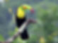 IMG-20250114-WA0001.jpg