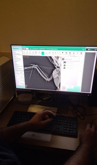 WhatsApp Image 2025-06-19 at 2.07_edited.jpg