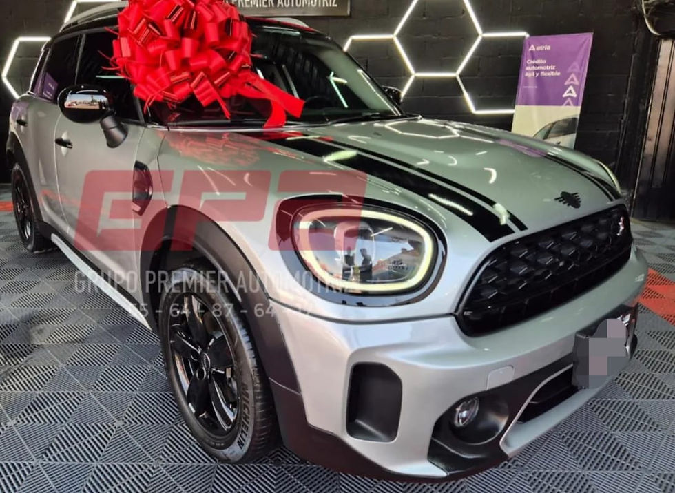 Miniatura: Mini Countryman 1.5 C At 2024