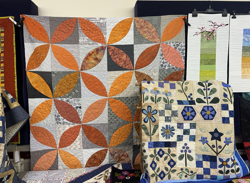 Carol's Orange Peel quilt and Julie's It had to be Blue quilt