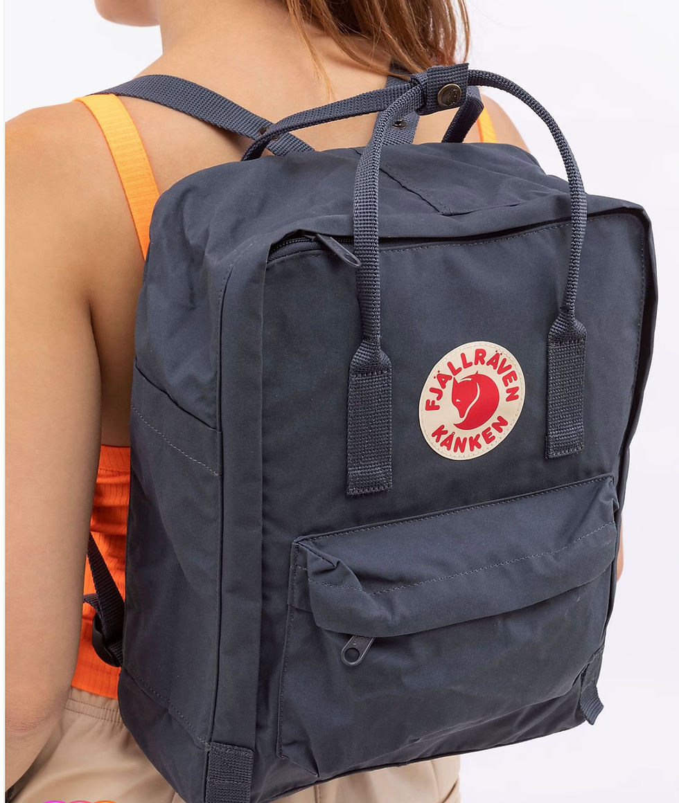 תמונה ממוזערת: Fjallraven Kanken Classic - תיק גב קאן קן קלאסי 16 ליטר בצבע נייבי