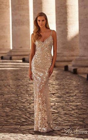 champagne-silver-prom-dress-3-32077 (1).jpg