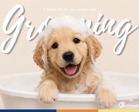grooming.png