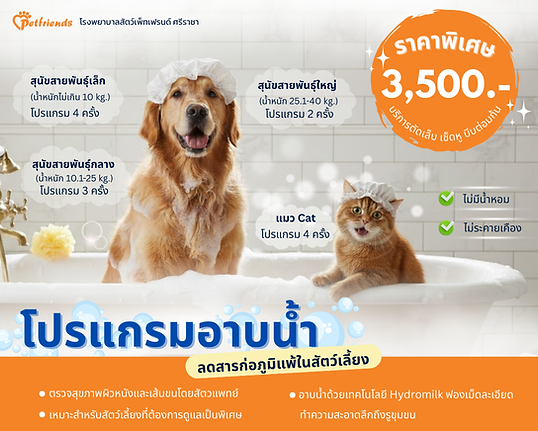 โปรแกรมอาบน้ำลดสารก่อภูมิแพ้ในสัตว์เลี้ยง