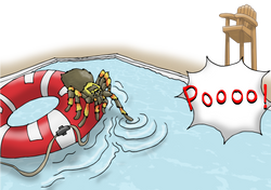 Pool Scene