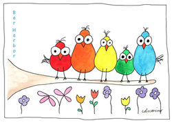 Rainbow birds on branch