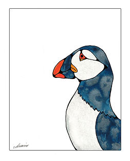 Puffin.jpg