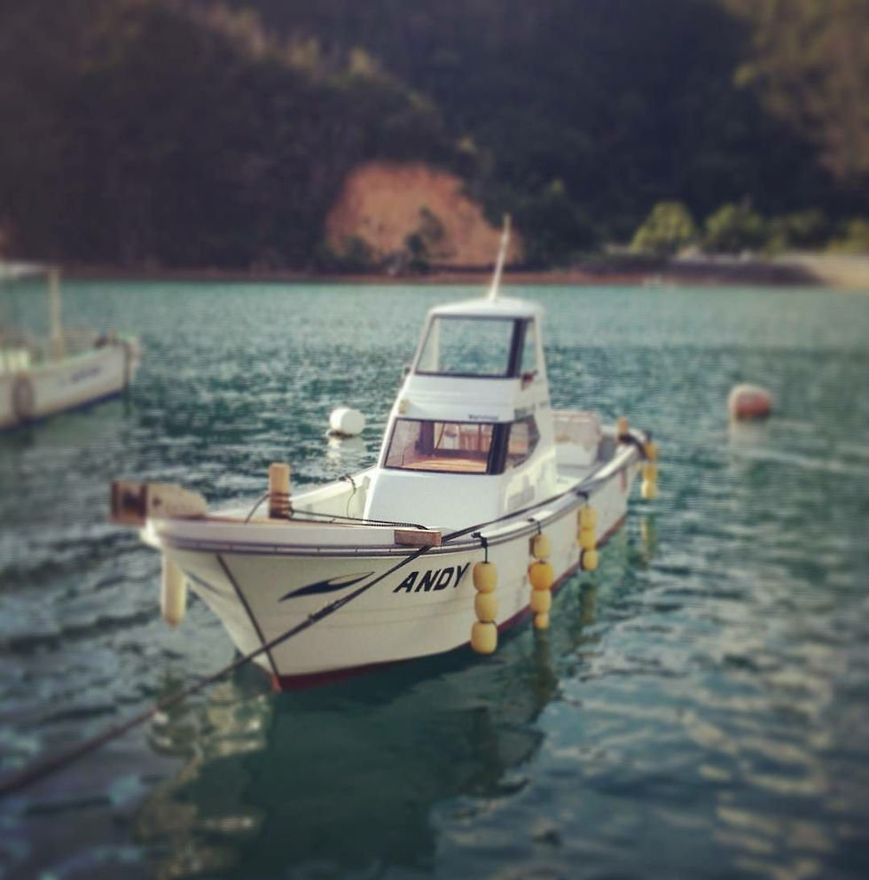 OKANO Fishing & WhaleWatching in 奄美