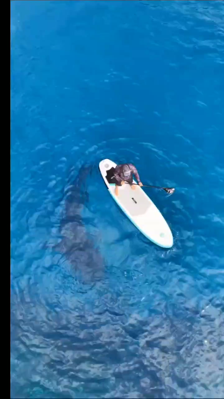 【この夏、奇跡の海へ。】