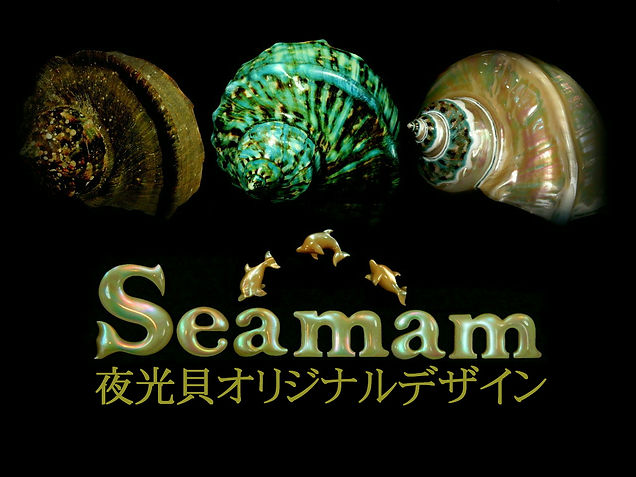 Seamam夜光貝
