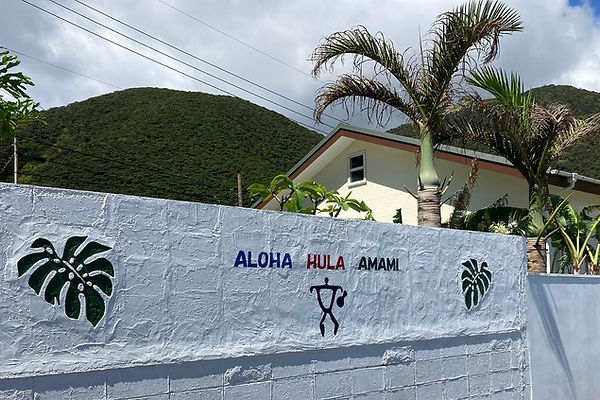 ALOHA HULA AMAMI | 奄美大島 南部 | 奄美せとうち観光協会 | 奄美大島