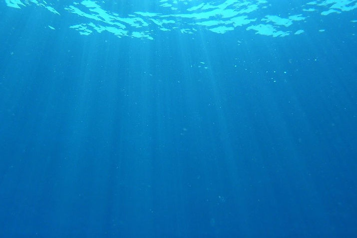 ダイバー民宿おれんち