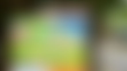 ぐる〜りかけろまっぷ〜加計呂麻バスで行く、ゆったり西阿室（にしあむろ）ショートトリップ・後半〜
