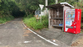 高知山展望所・油井岳展望台までの道路に関する交通規制情報