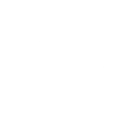 Symbol light.png