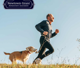 Pet-Friendly Summer Sports