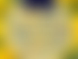 Special Annual Newsletter Advertising Rates