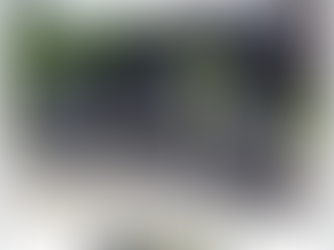 MENTIONS: Northhampton’s The Patch reporting our Dedication Event