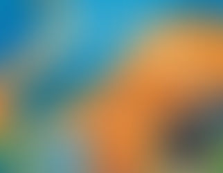 Newtown Grant Homeowners Association Book Club 