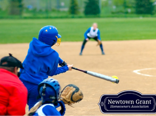 The Jack Repcheck Softball League 2023