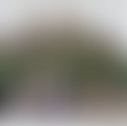 Arlington National Cemetery June 18th, 2022