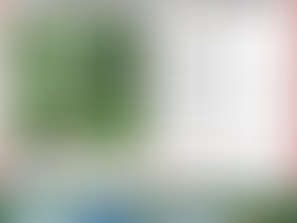 Galaxy Landscaping LLC