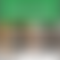 Thank You Cabinet Painting Guru