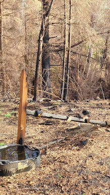 fence from gate to barn