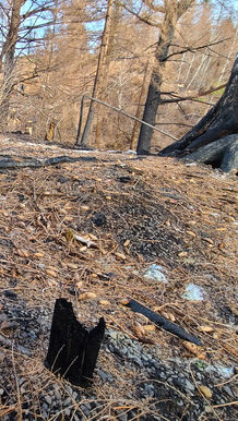 fence from gate to barn expansion