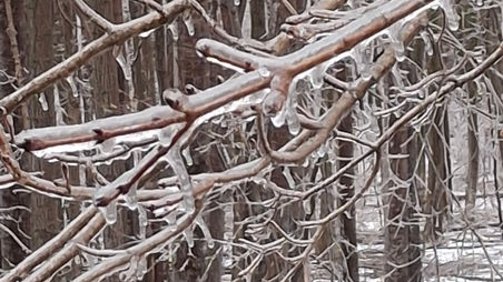 Northern Michigan Historic Ice Storm