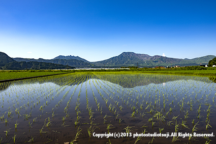 阿蘇の田園風景