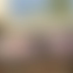 Vegadeo Suena: El cole no se toca y la paciencia se agota