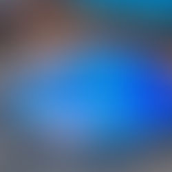 kidney shaped pool in small backyard