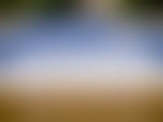 Dirty, Outdated Pool in Need of a Refresh