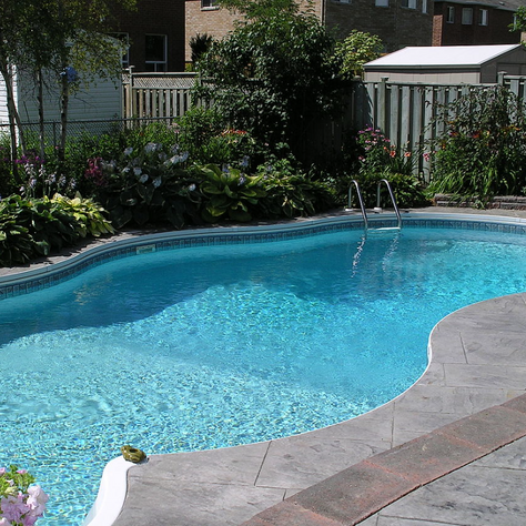 Custom Pool with Backyard Landscaping
