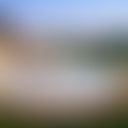 Custom Pool with Tanning Ledge and Spa