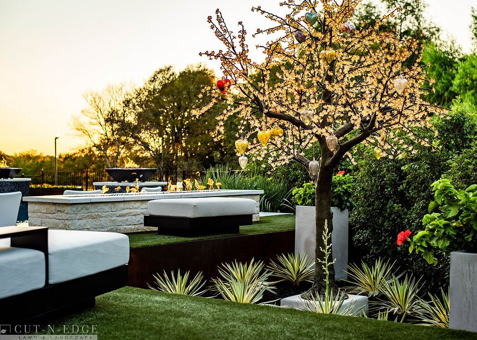 Rockwall landscape design with an outdoor fireplace and shrubs in early fall