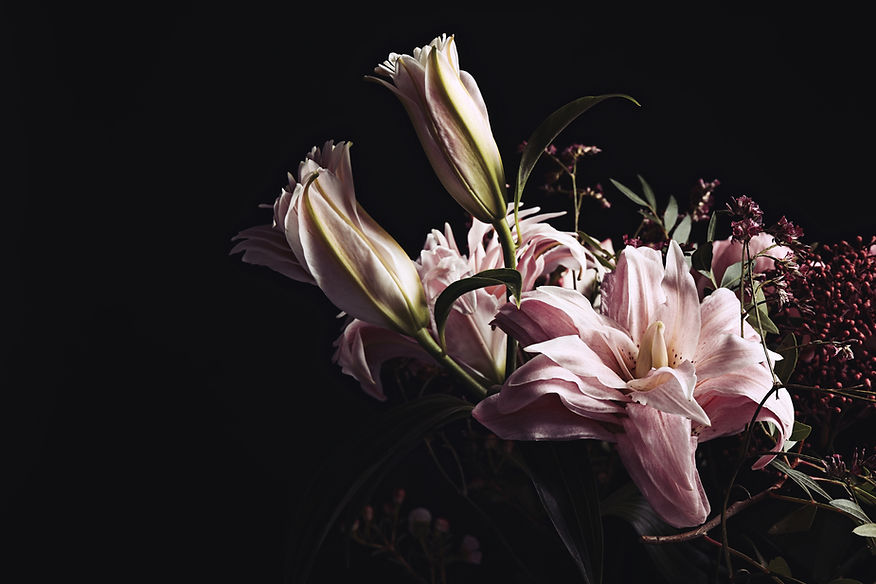 flowers-on-dark-background