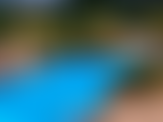 Custom Pool with Custom Landscaping and Fire Features