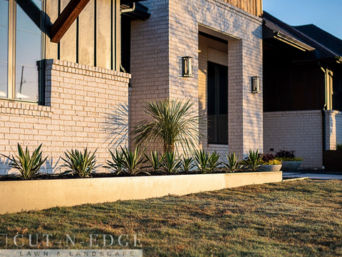 Screenshot 2025-07-10 at 11.44.28 AM