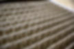 dirty-air-filter-close-up