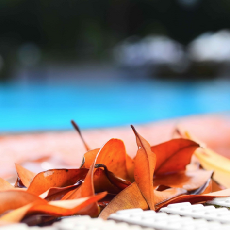My Filter is Returning Debris to my Pool