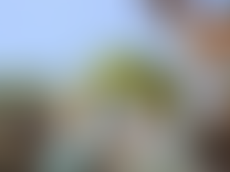 Child Playing in the Pool with His Dog Near