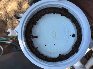 Inline Chlorinator Maintenance Instructions