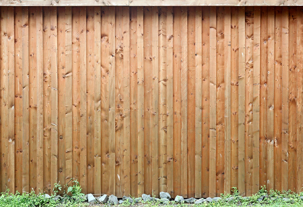 cedar-fence-hero