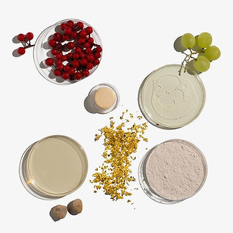 glo2facial-ingredients